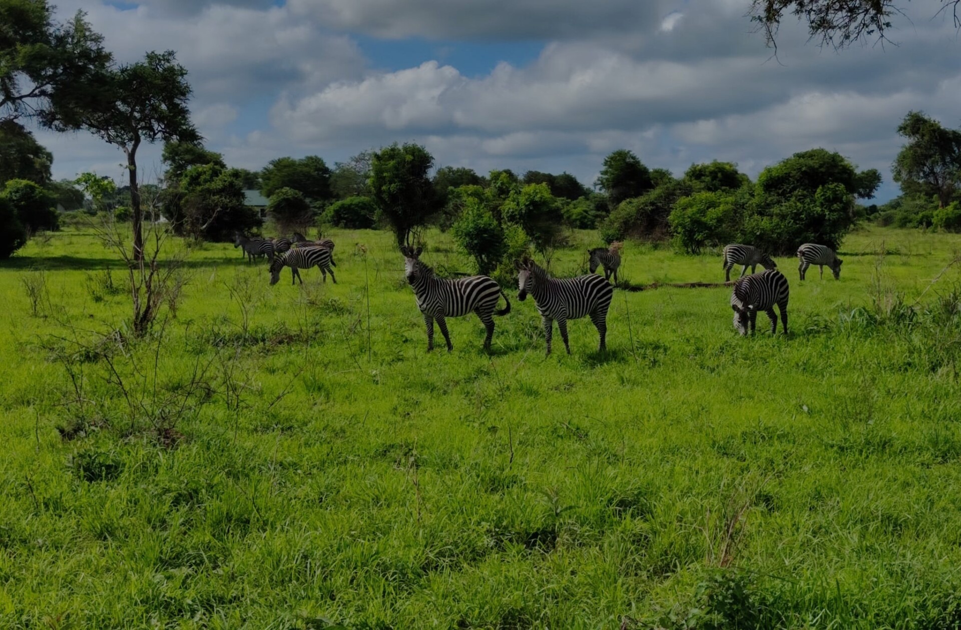 Selous Game Reserve Safari – Africa’s Hidden Gem